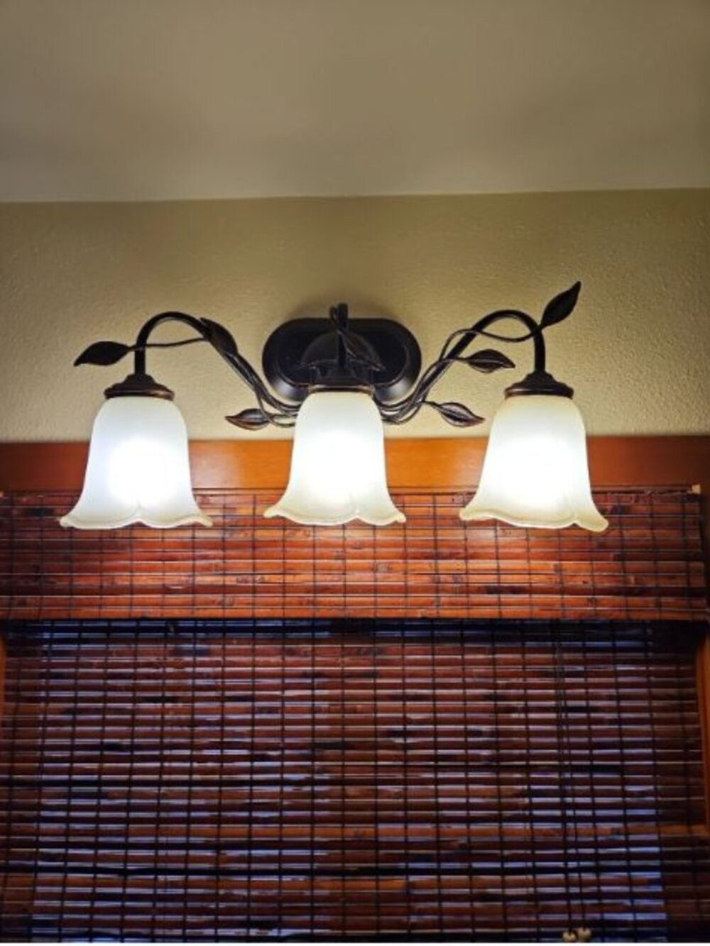 Wall mount light fixture